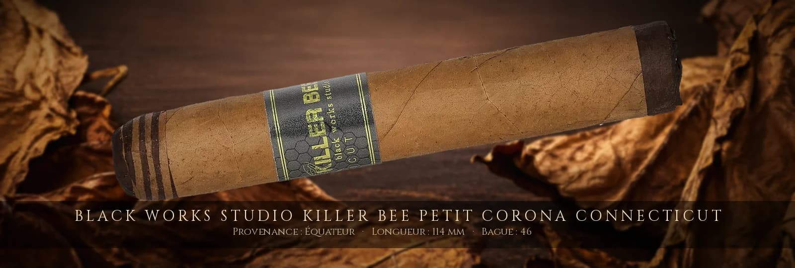 Black Works Studio Killer Bee Petit Corona Connecticut — Black Works Studio — Équateur