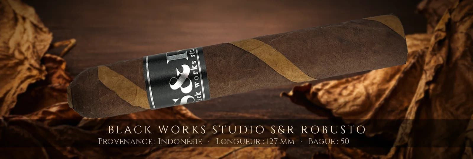 Black Works Studio S&R Robusto — Black Works Studio — Indonésie