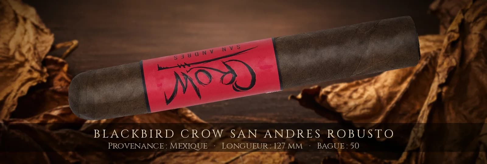 Blackbird Crow San Andres Robusto — Blackbird — Mexique