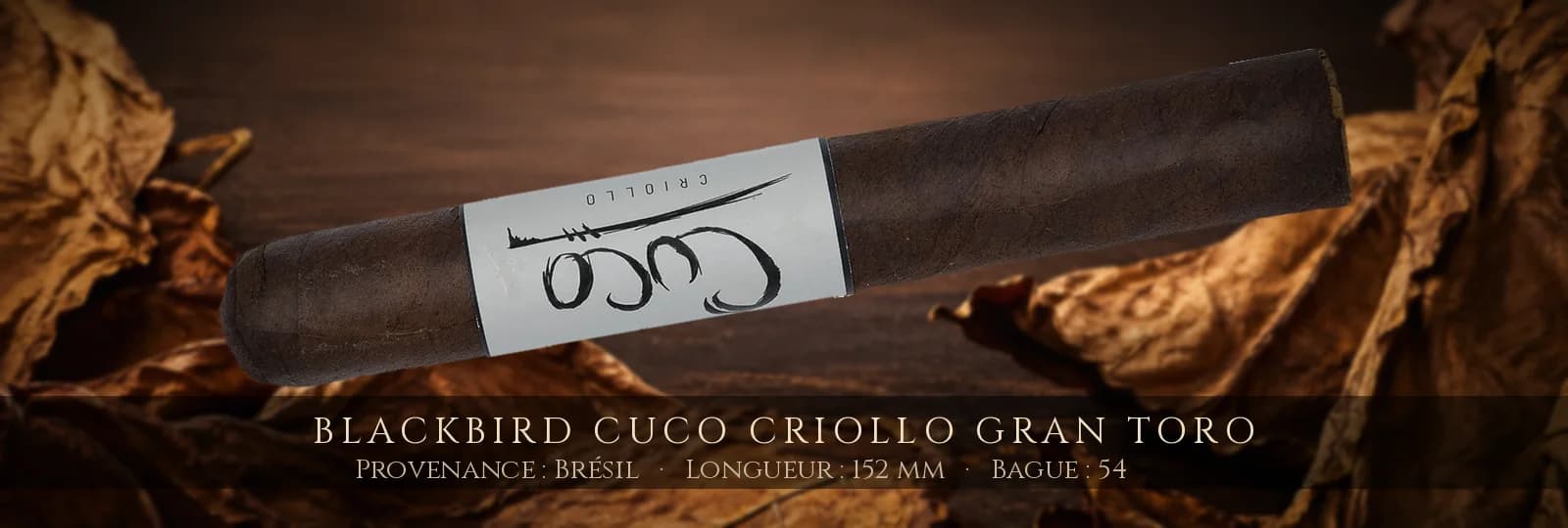 Blackbird Cuco Criollo Gran Toro — Blackbird — Brésil