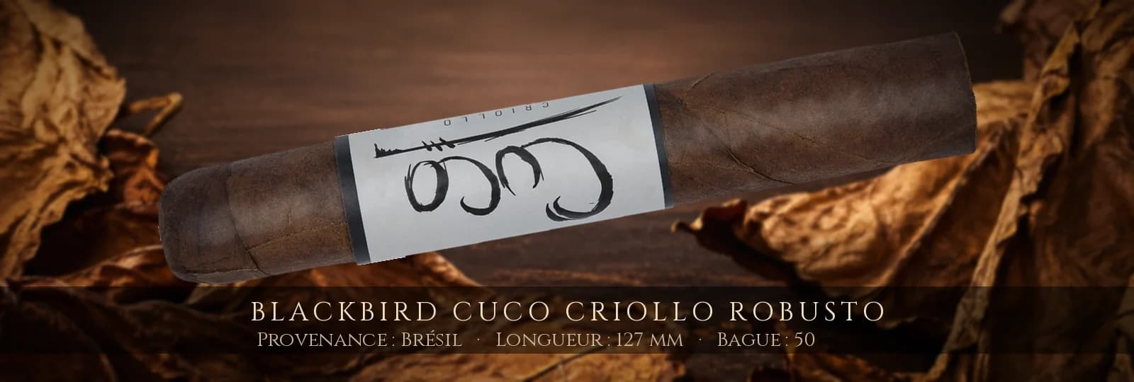 Blackbird Cuco Criollo Robusto — Blackbird — Brésil