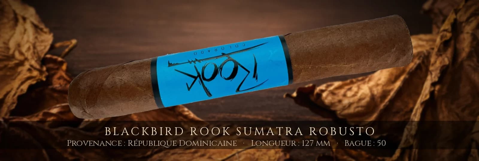 Blackbird Rook Sumatra Robusto — Blackbird — République Dominicaine