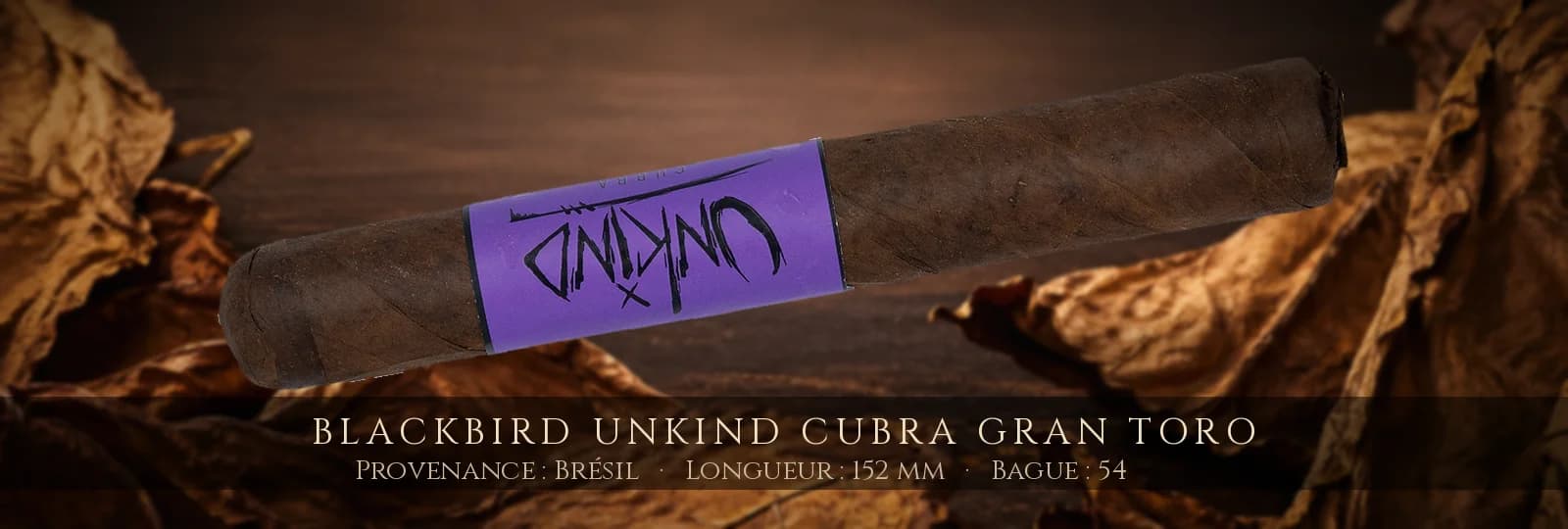 Blackbird Unkind Cubra Gran Toro — Blackbird — Brésil