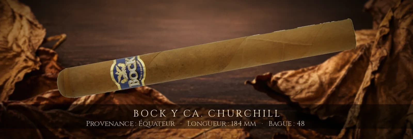 Bock y Ca. Churchill — Bock y Ca. — Équateur