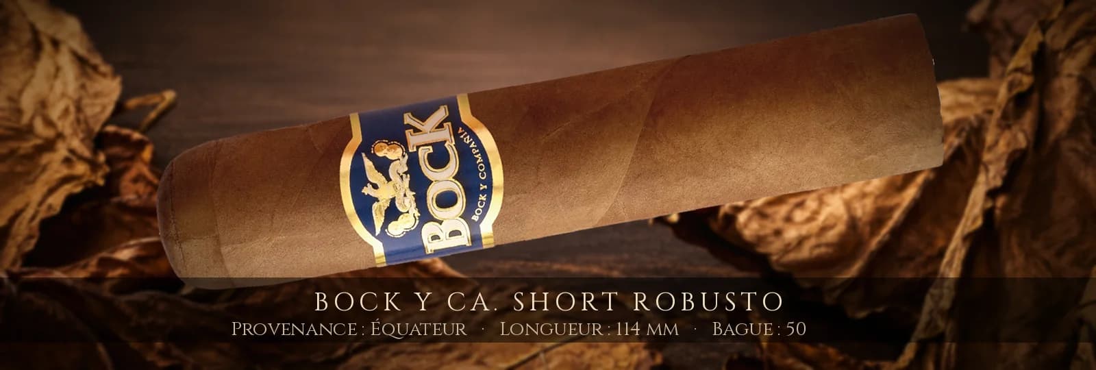 Bock y Ca. Short Robusto — Bock y Ca. — Équateur