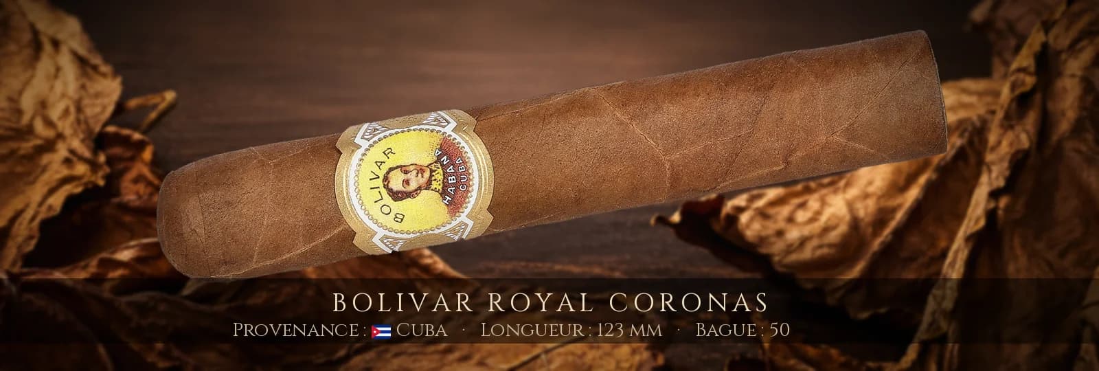 Bolivar Royal Coronas — Bolivar — Cuba