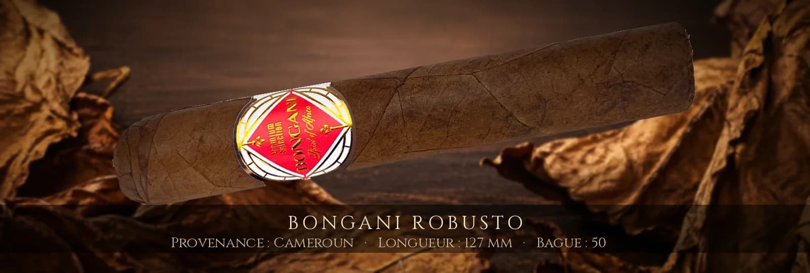 Bongani Robusto — Bongani — Cameroun