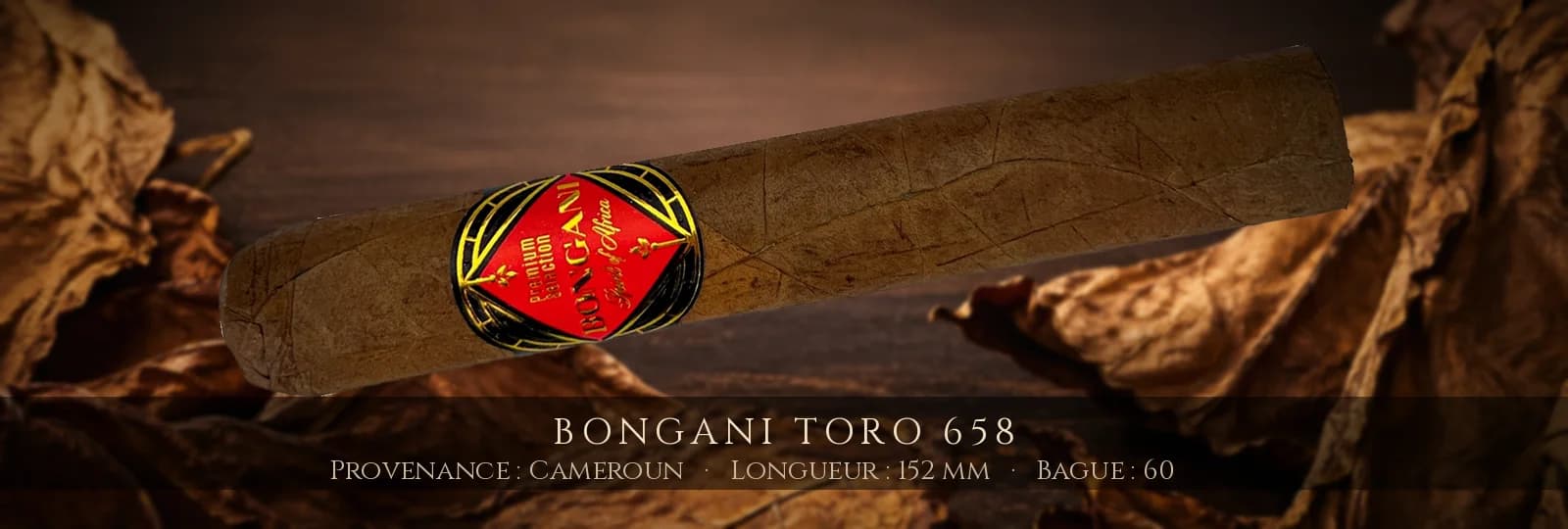 Bongani Toro 658 — Bongani — Cameroun