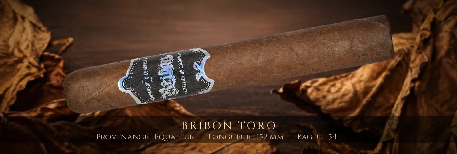 Bribon Toro — Bribon — Équateur