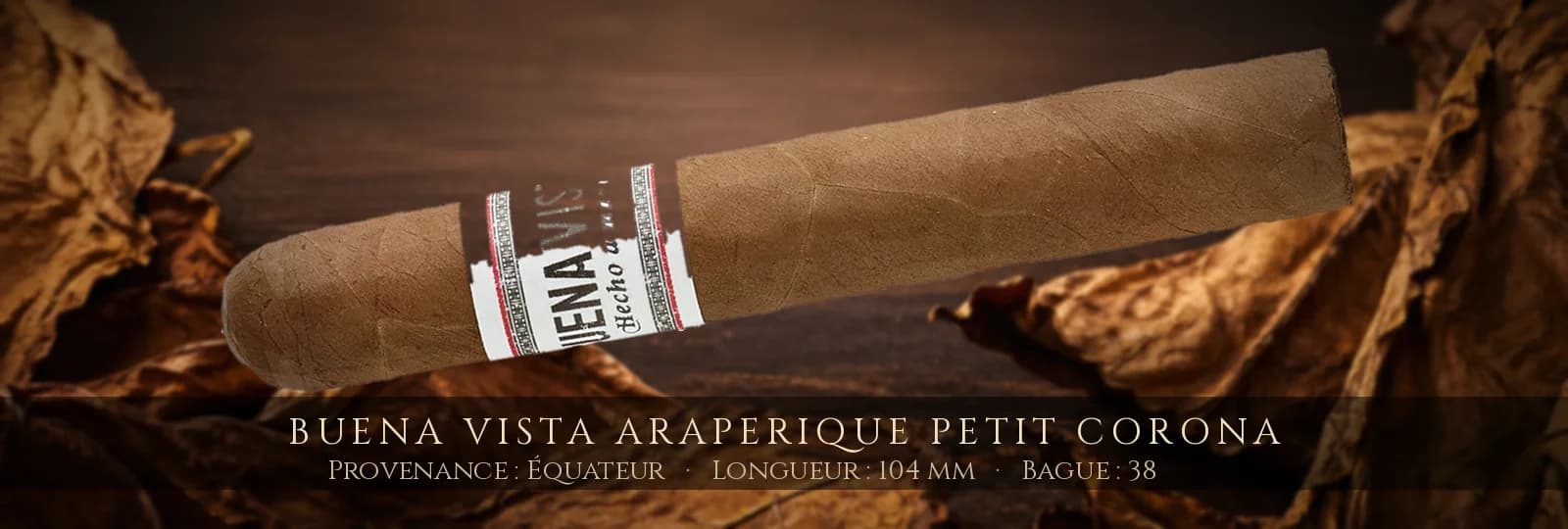 Buena Vista Araperique Petit Corona — Buena Vista — Équateur