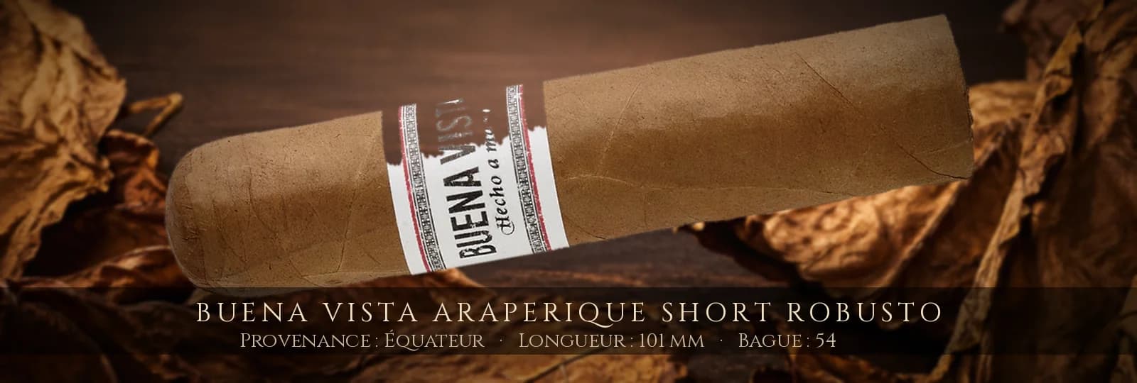 Buena Vista Araperique Short Robusto — Buena Vista — Équateur