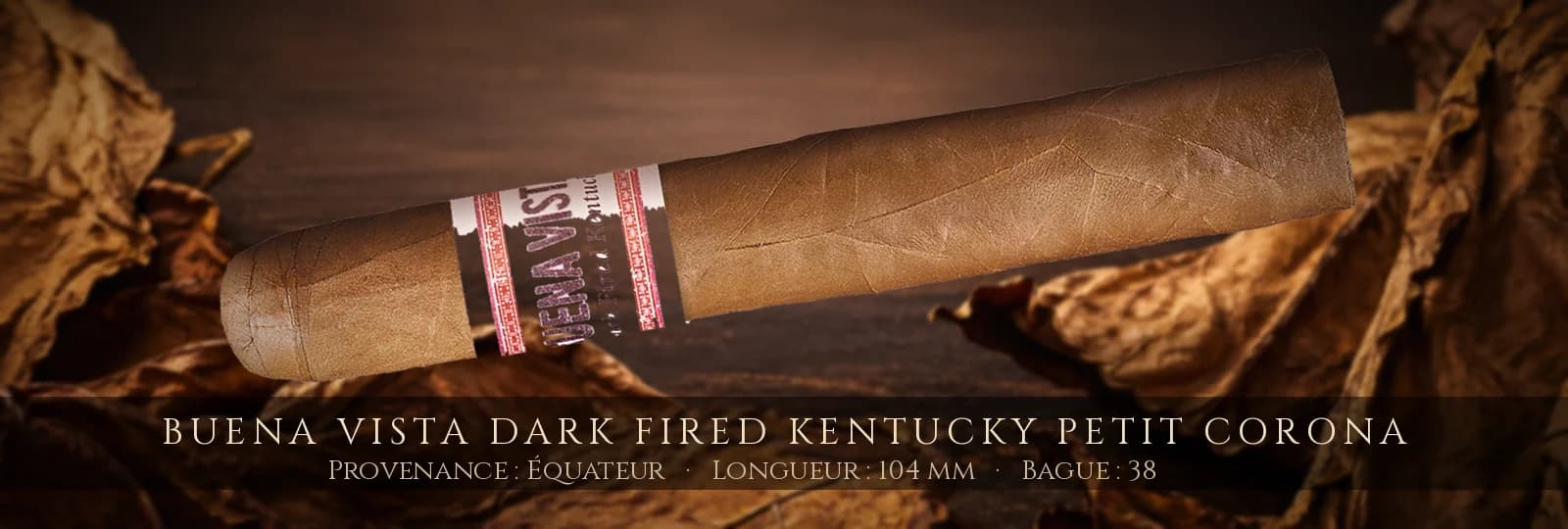 Buena Vista Dark Fired Kentucky Petit Corona — Buena Vista — Équateur