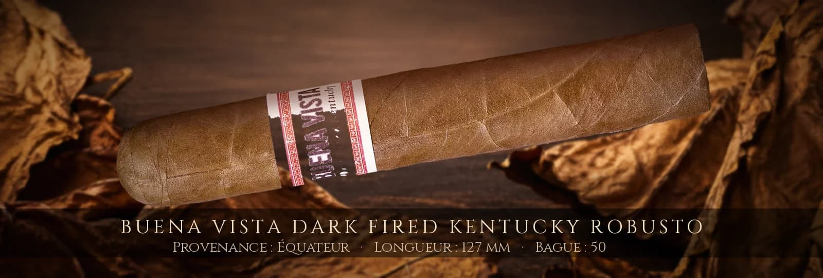 Buena Vista Dark Fired Kentucky Robusto — Buena Vista — Équateur