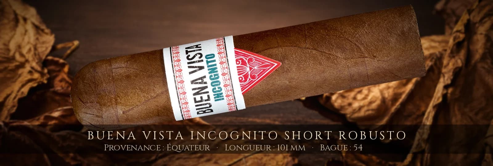Buena Vista Incognito Short Robusto — Buena Vista — Équateur