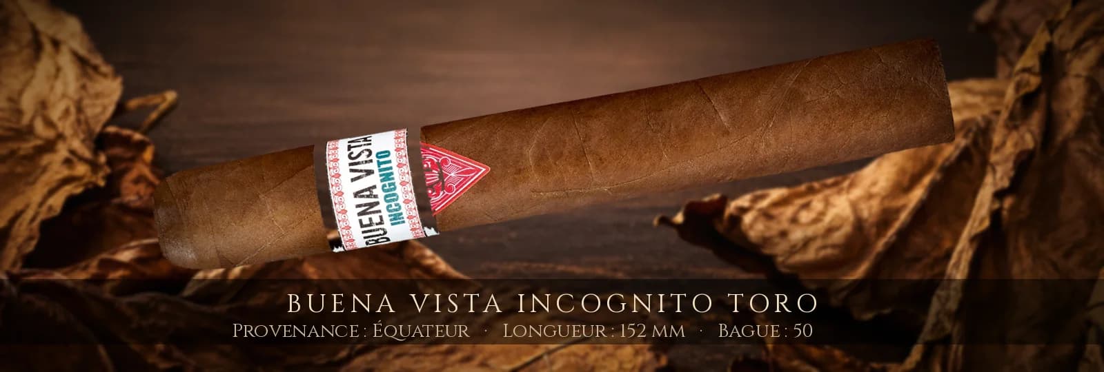 Buena Vista Incognito Toro — Buena Vista — Équateur
