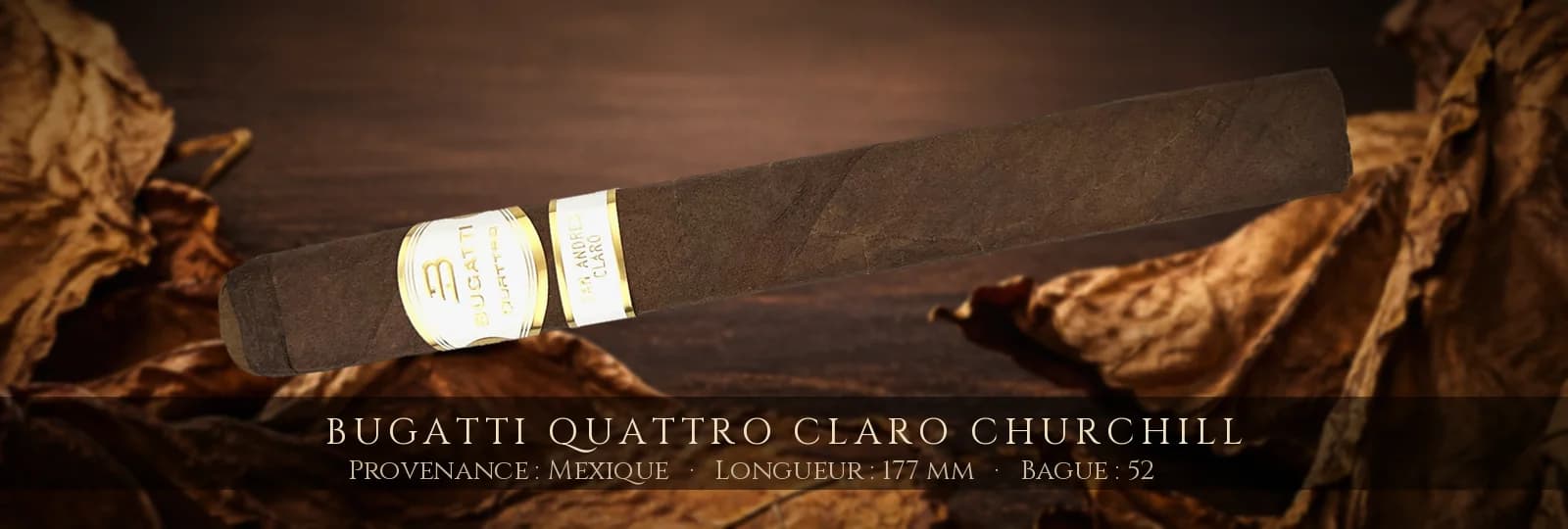 Bugatti Quattro Claro Churchill — Bugatti — Mexique