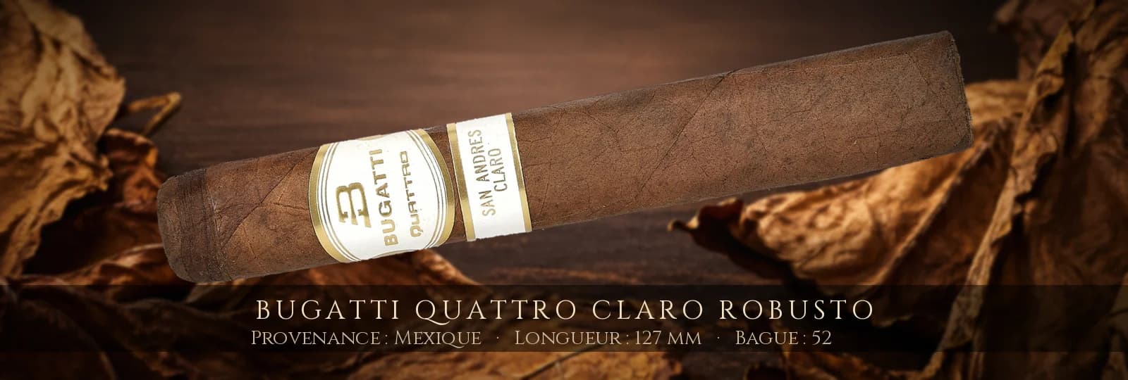 Bugatti Quattro Claro Robusto — Bugatti — Mexique