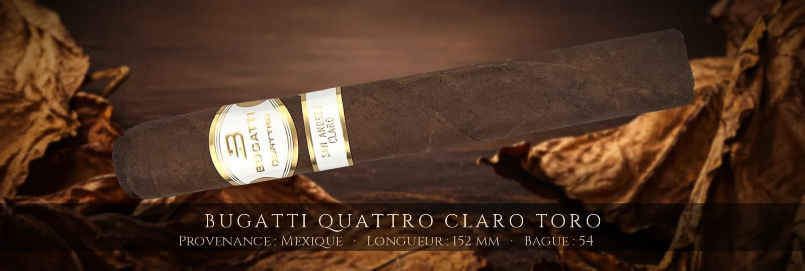 Bugatti Quattro Claro Toro — Bugatti — Mexique