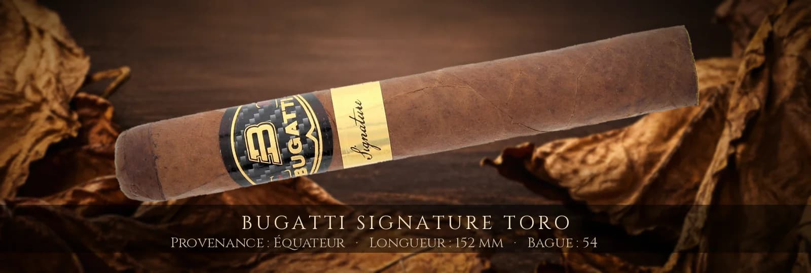 Bugatti Signature Toro — Bugatti — Équateur