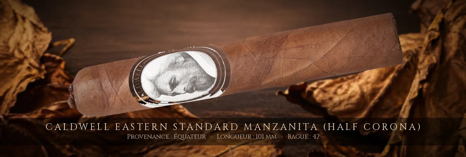 Caldwell Eastern Standard Manzanita (Half Corona) — Caldwell — Équateur