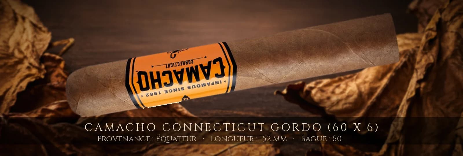 Camacho Connecticut Gordo (60 x 6) — Camacho — Équateur