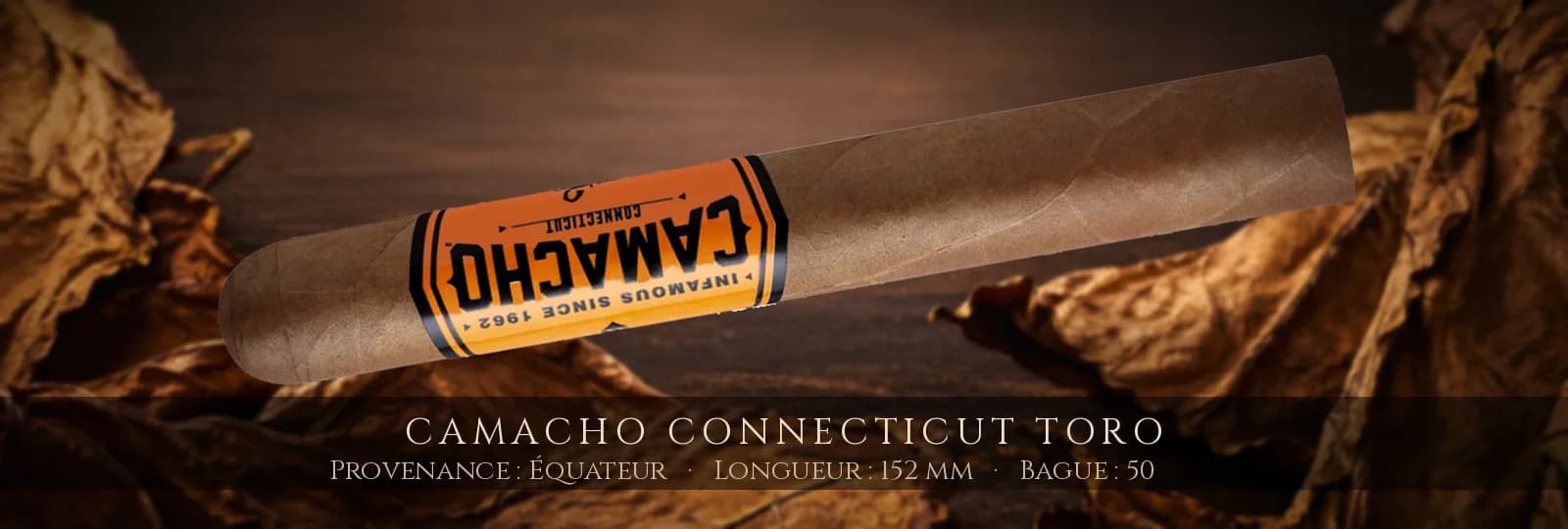 Camacho Connecticut Toro — Camacho — Équateur