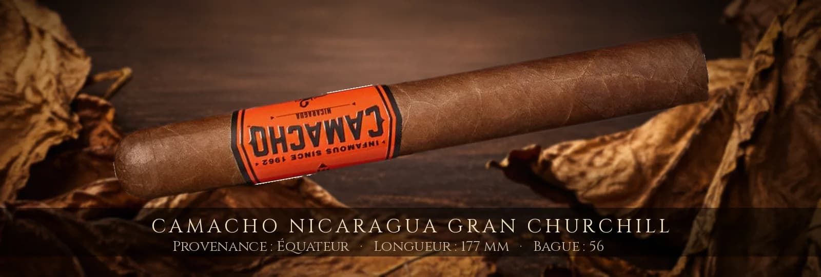 Camacho Nicaragua Gran Churchill — Camacho — Équateur