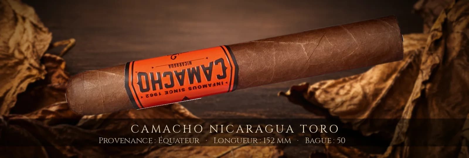 Camacho Nicaragua Toro — Camacho — Équateur
