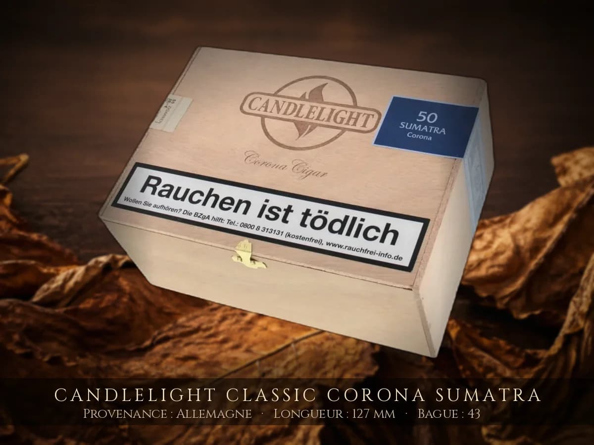 Candlelight Classic Corona Sumatra — Candlelight — Allemagne