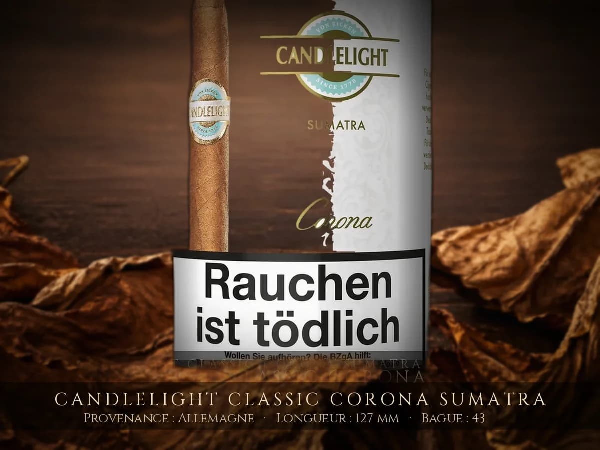 Candlelight Classic Corona Sumatra — Candlelight — Allemagne
