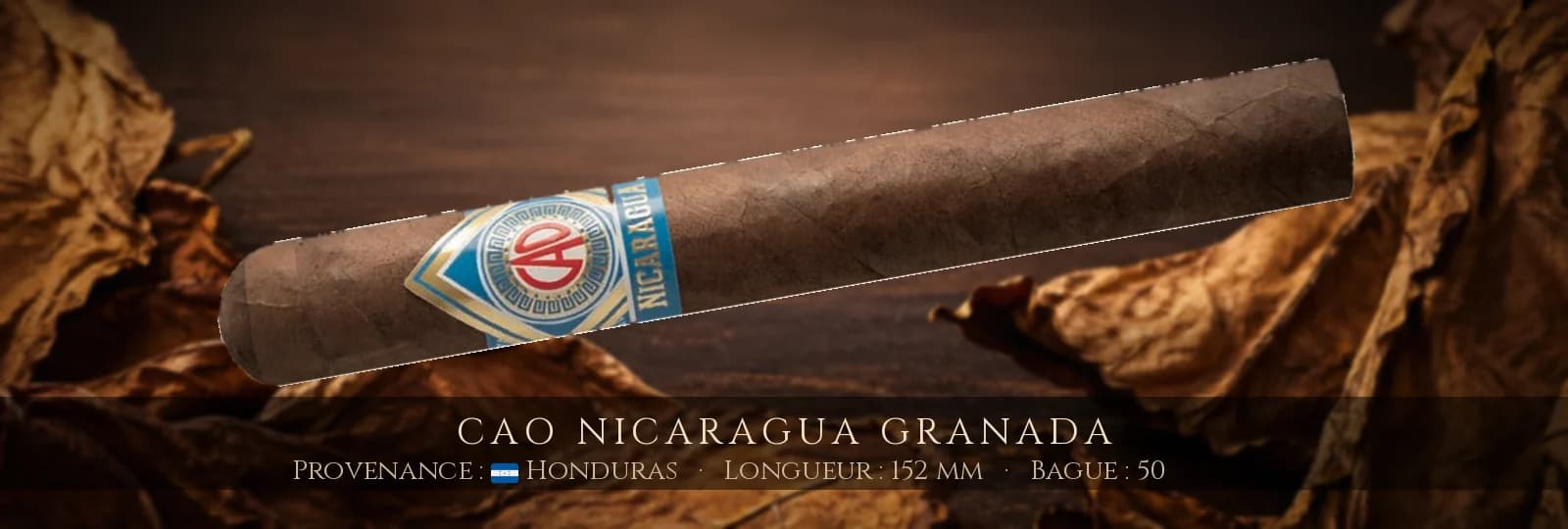CAO Nicaragua Granada — CAO — Honduras