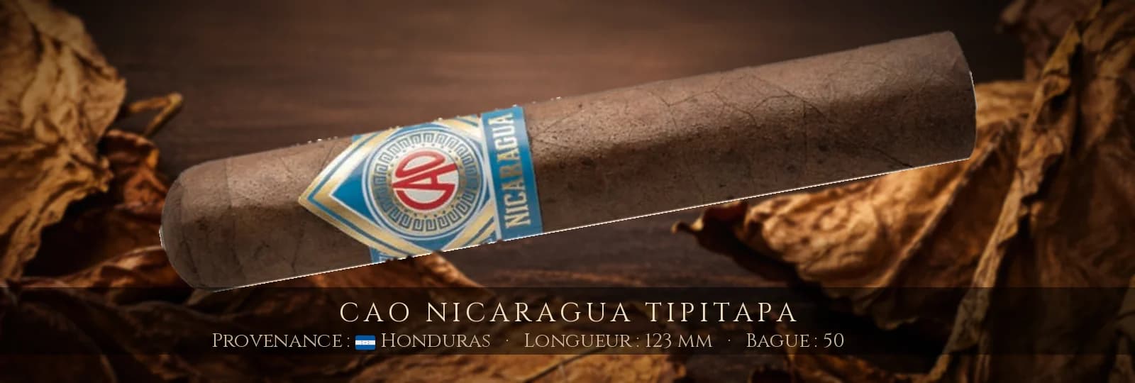 CAO Nicaragua Tipitapa — CAO — Honduras