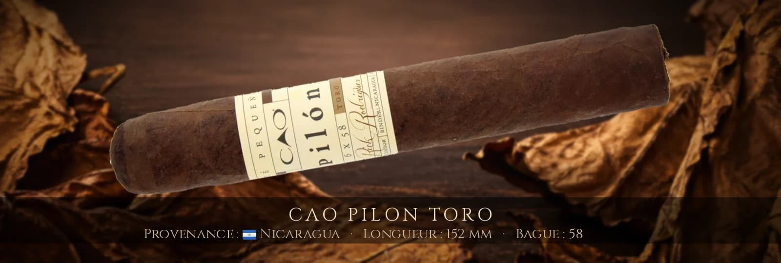 CAO Pilon Toro — CAO — Nicaragua