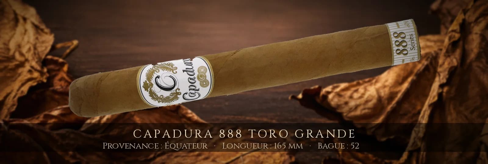 Capadura 888 Toro Grande — Capadura — Équateur