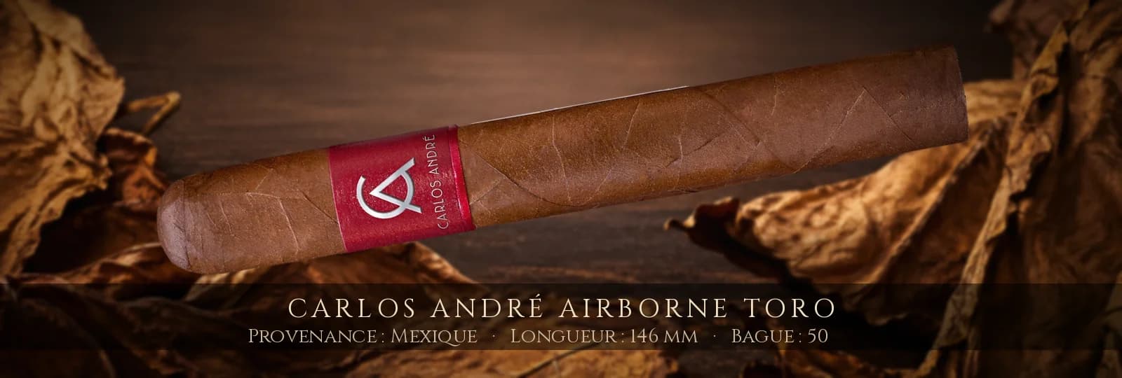 Carlos André Airborne Toro — Carlos André — Mexique