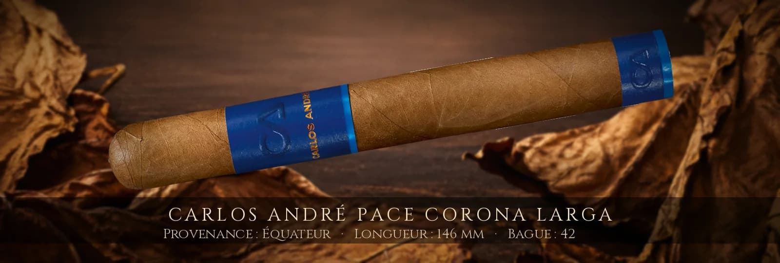 Carlos André Pace Corona Larga — Carlos André — Équateur