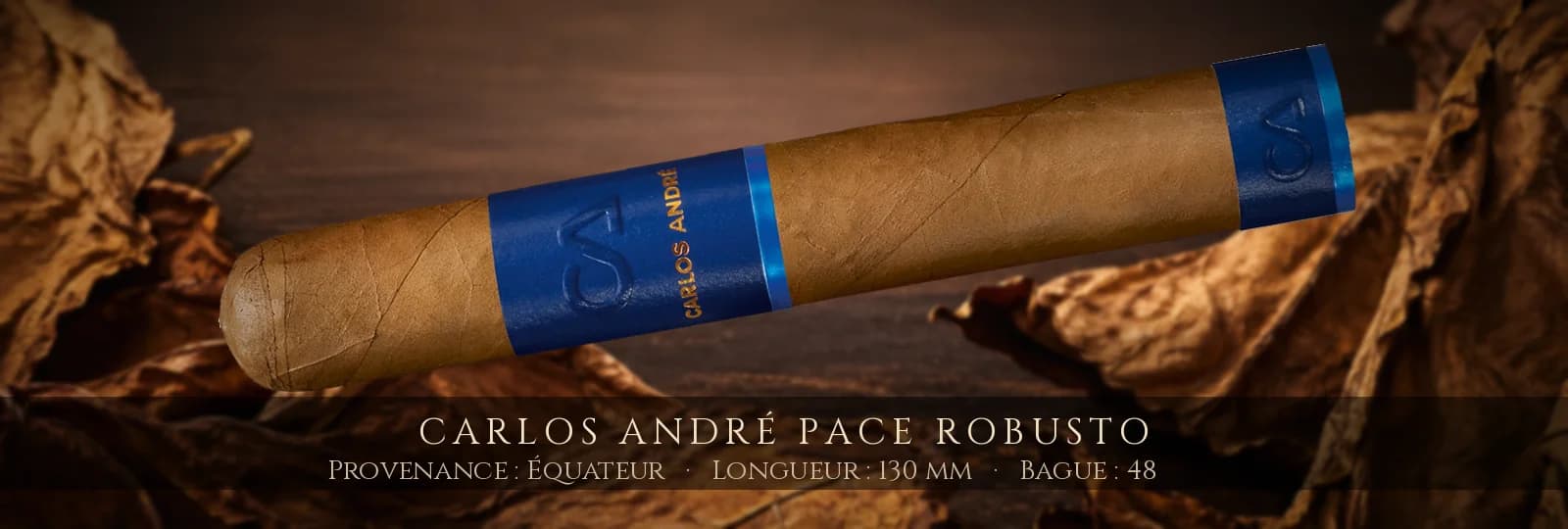 Carlos André Pace Robusto — Carlos André — Équateur