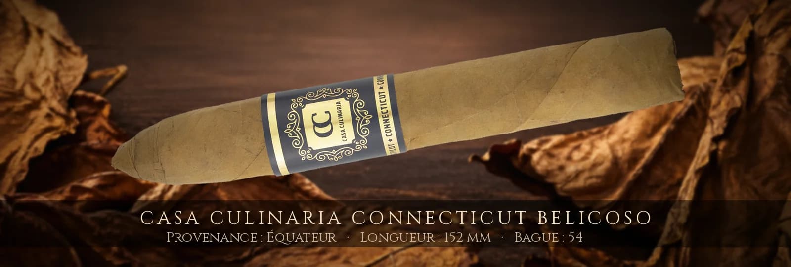 Casa Culinaria Connecticut Belicoso — Casa Culinaria — Équateur