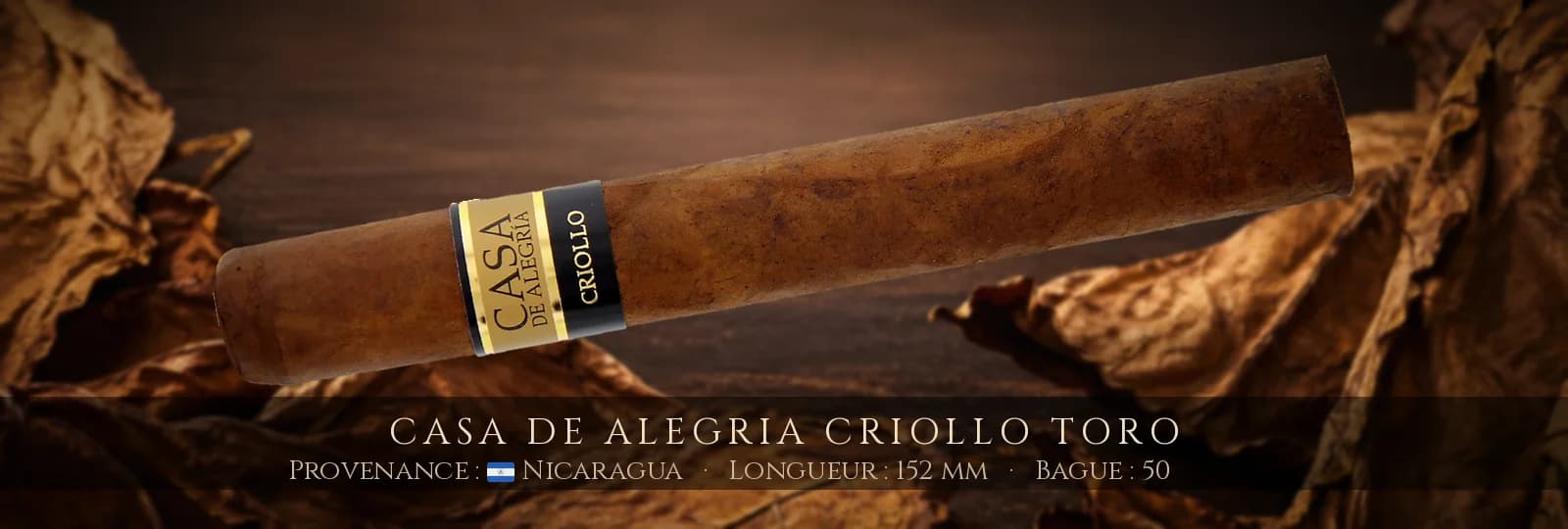 Casa de Alegria Criollo Toro — Casa de Alegria — Nicaragua