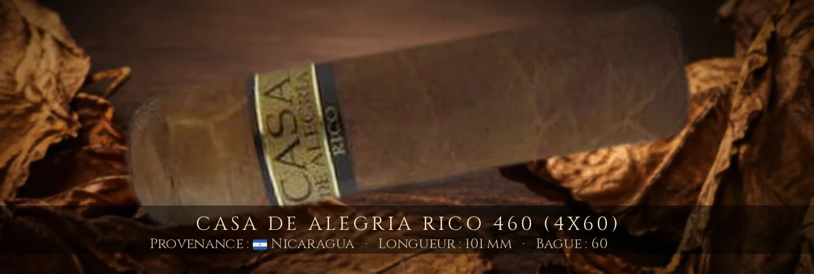 Casa de Alegria Rico 460 (4x60) — Casa de Alegria — Nicaragua