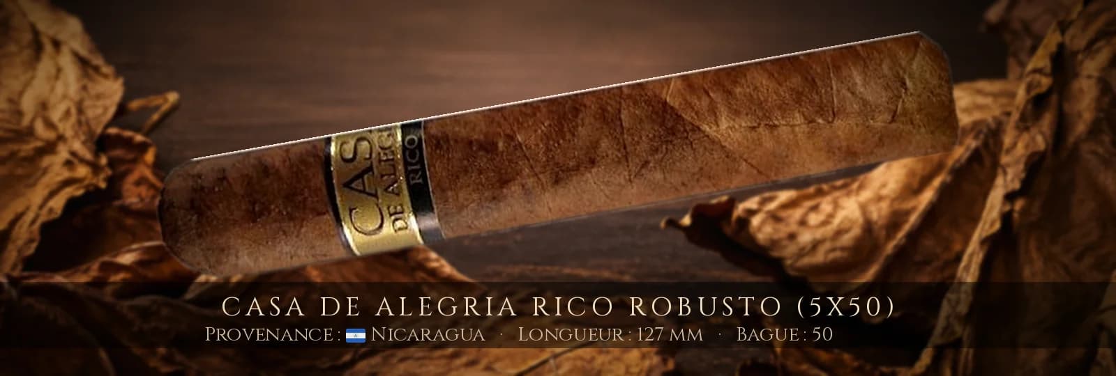 Casa de Alegria Rico Robusto (5x50) — Casa de Alegria — Nicaragua