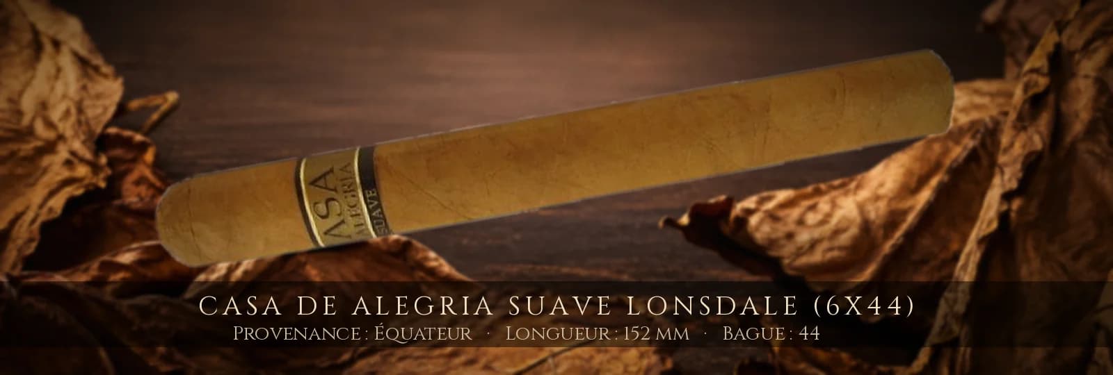 Casa de Alegria Suave Lonsdale (6x44) — Casa de Alegria — Équateur