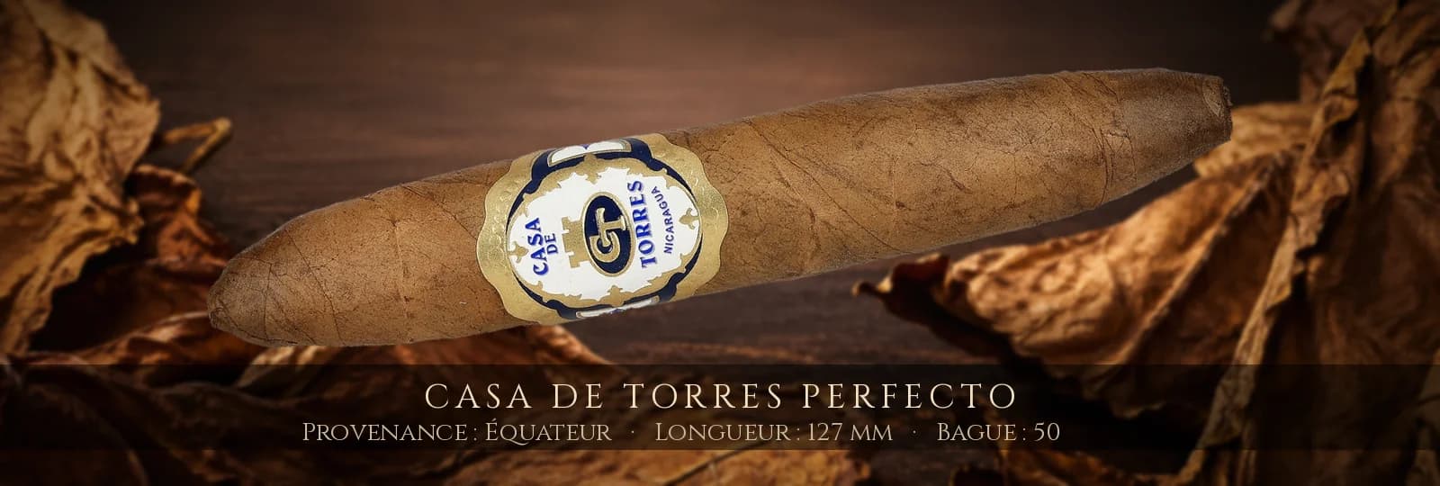 Casa de Torres Perfecto — Casa de Torres — Équateur