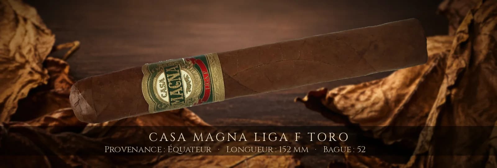 Casa Magna Liga F Toro — Casa Magna — Équateur