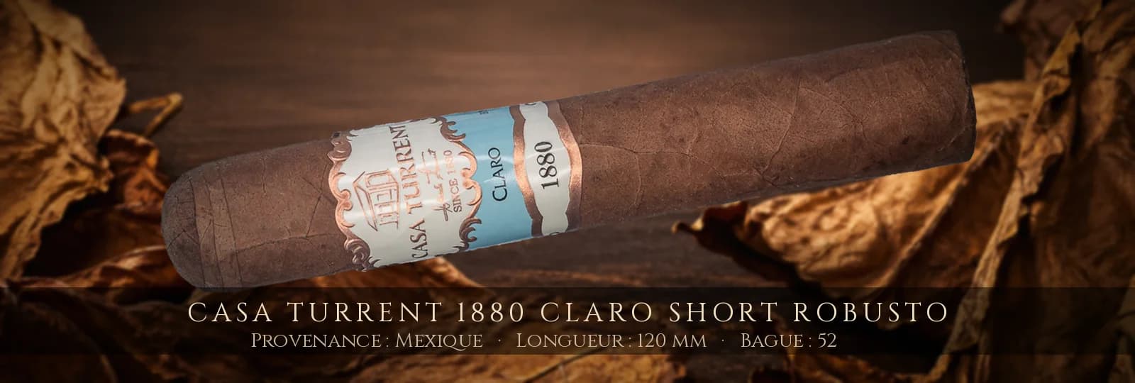 Casa Turrent 1880 Claro Short Robusto — Casa Turrent — Mexique