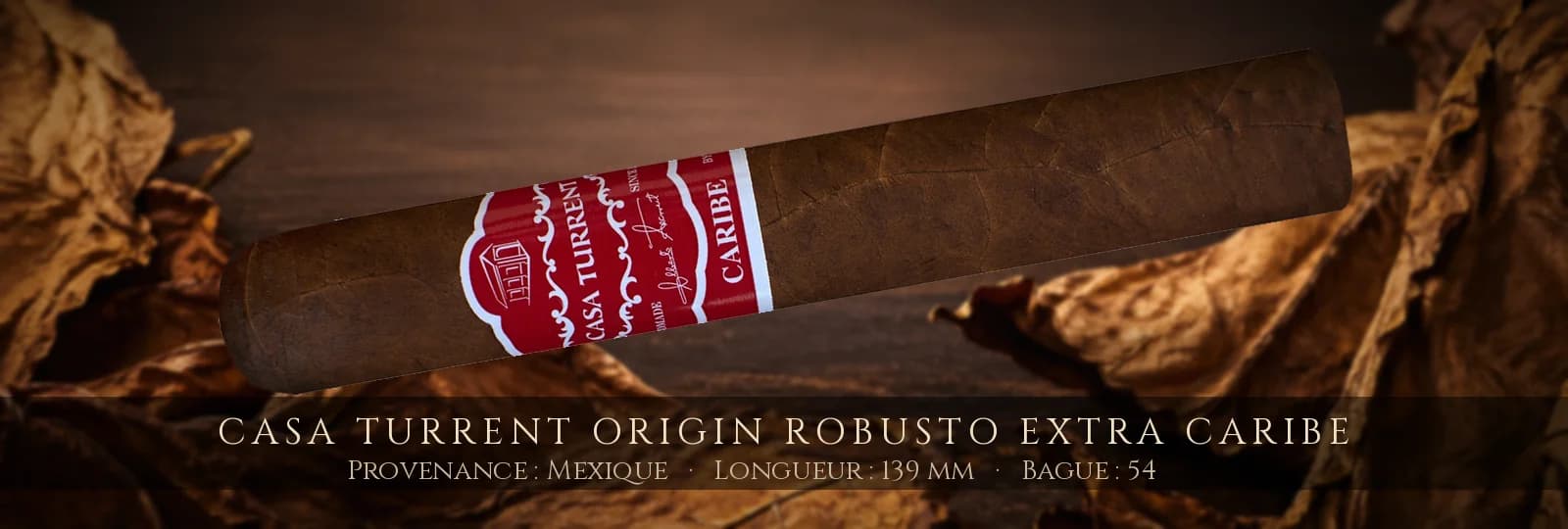 Casa Turrent Origin Robusto Extra Caribe — Casa Turrent — Mexique