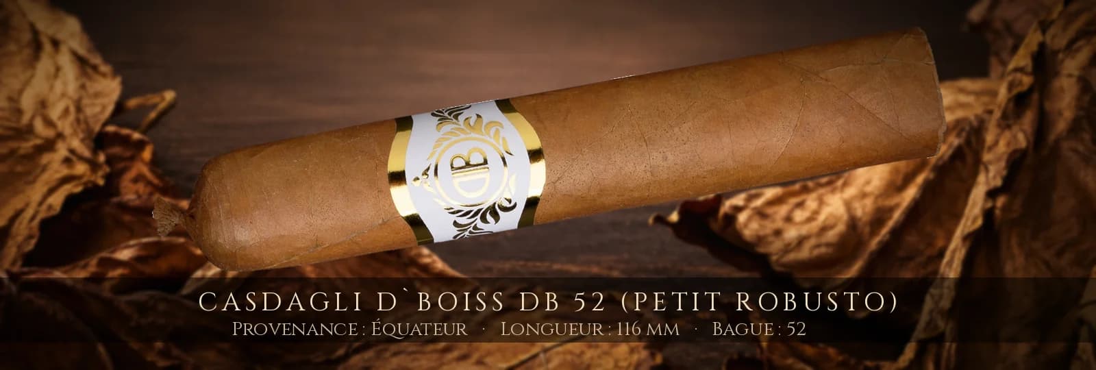 Casdagli D`Boiss DB 52 (Petit Robusto) — Casdagli — Équateur