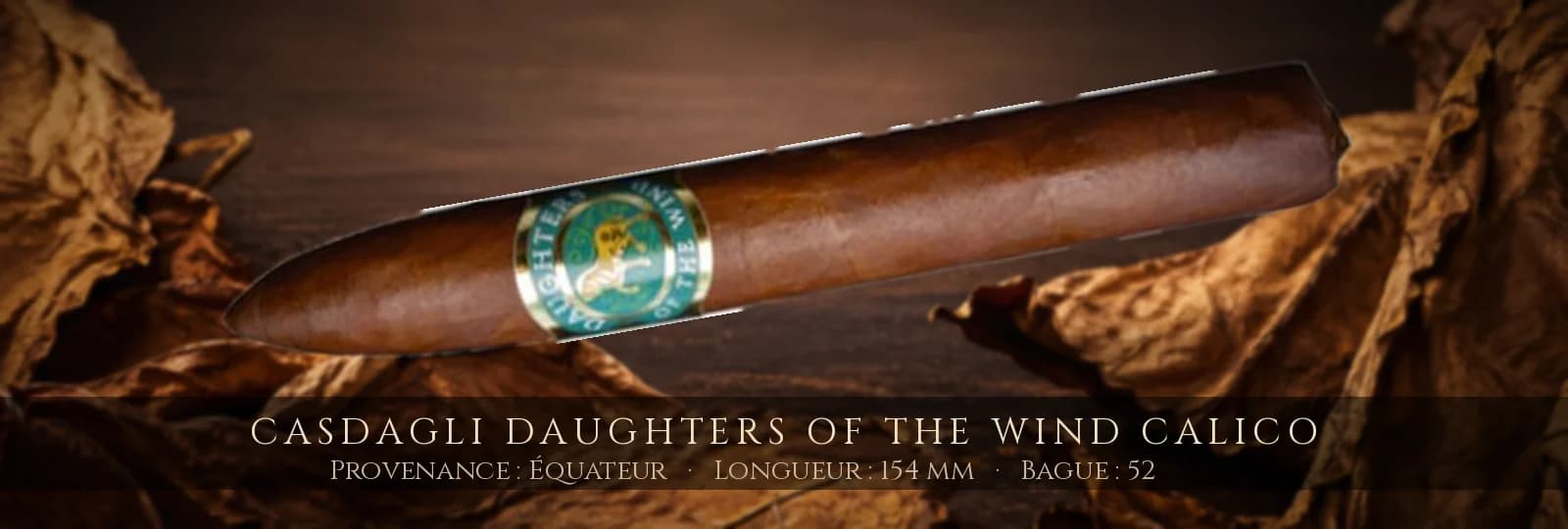 Casdagli Daughters of the Wind Calico — Casdagli — Équateur