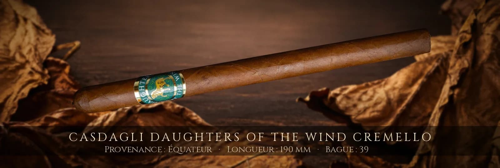 Casdagli Daughters of the Wind Cremello — Casdagli — Équateur
