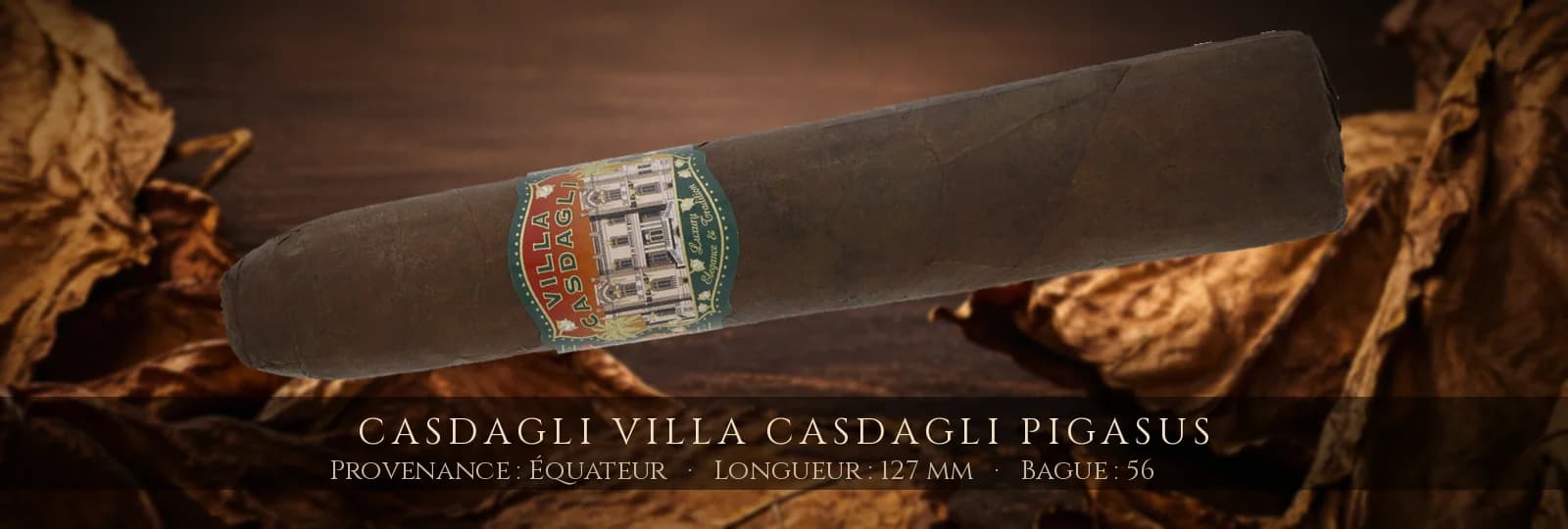 Casdagli Villa Casdagli Pigasus — Casdagli — Équateur